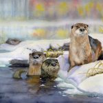 Autumn Dip - River Otters