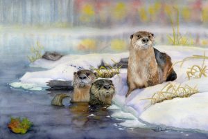 Autumn Dip - River Otters