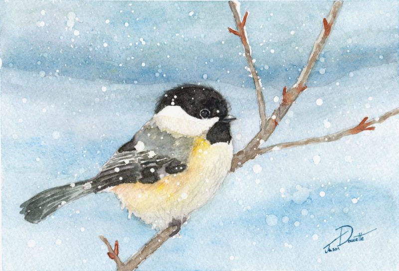 Winterland Chickadee – Chickadee