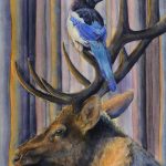 The lookout -Elk and Magpie