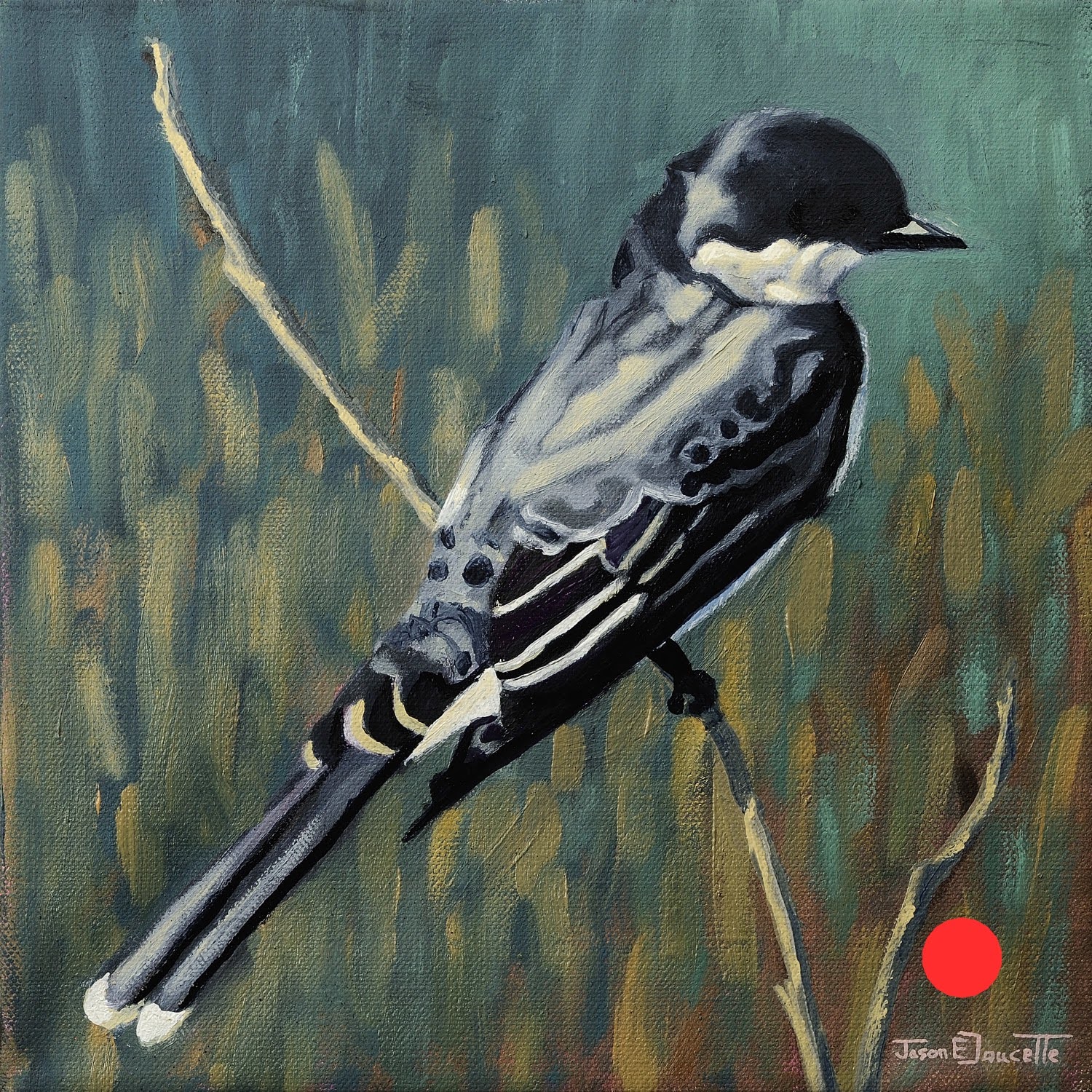 King Bird – Eastern King Bird