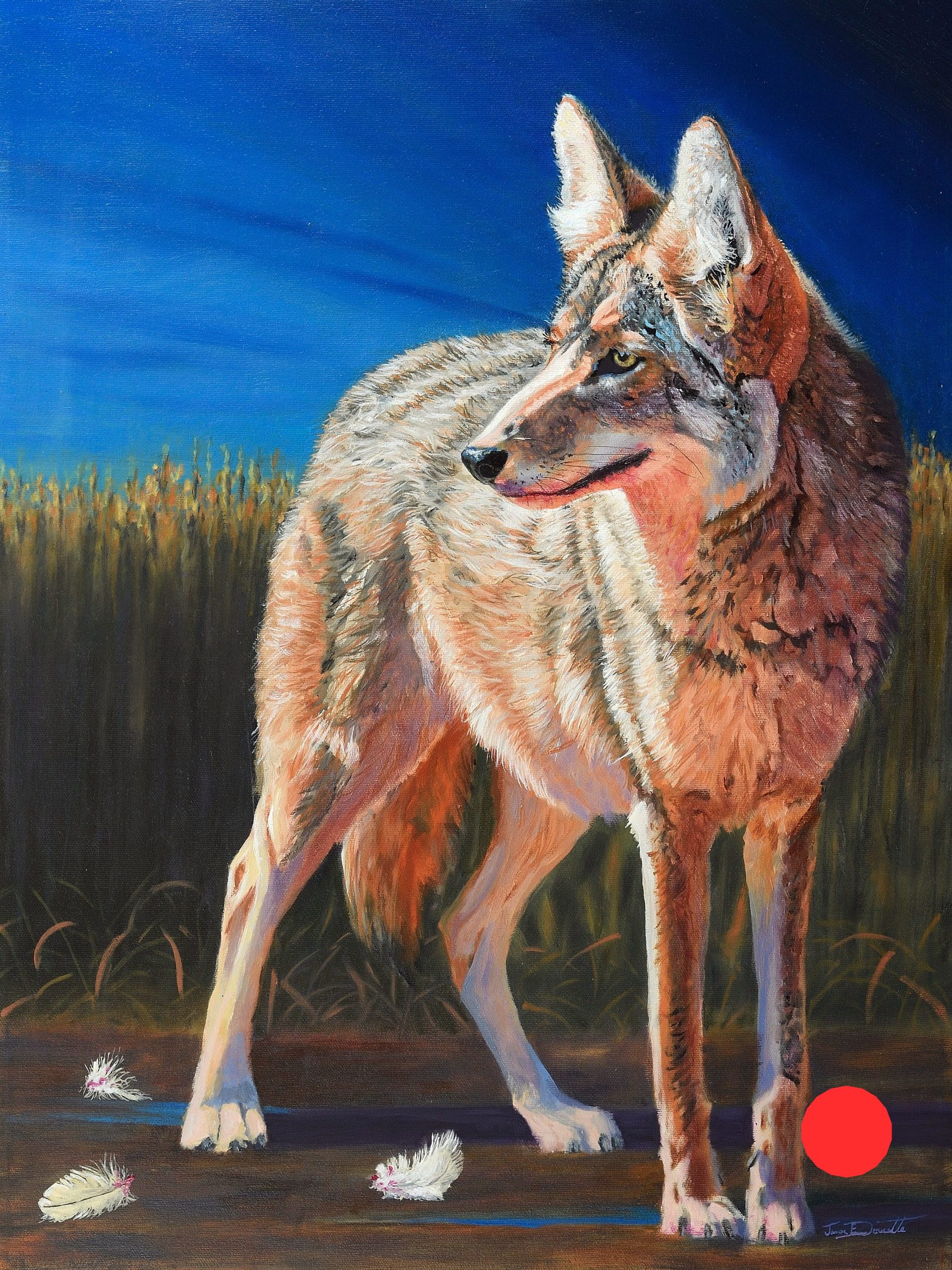 The Night Raid – Coyote