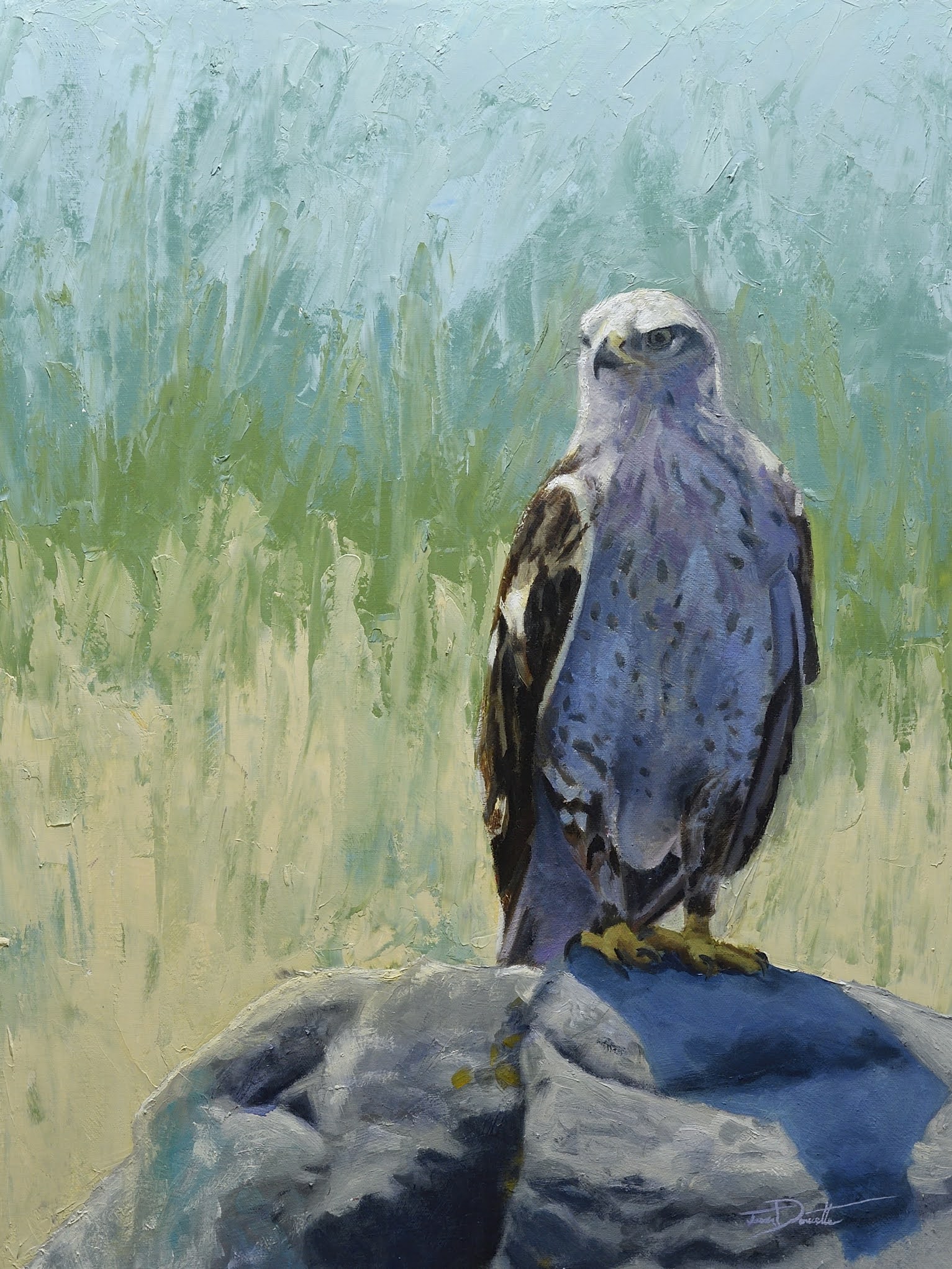 Ferruginous HawkOil on canvas18×24$1253.00 CAD
