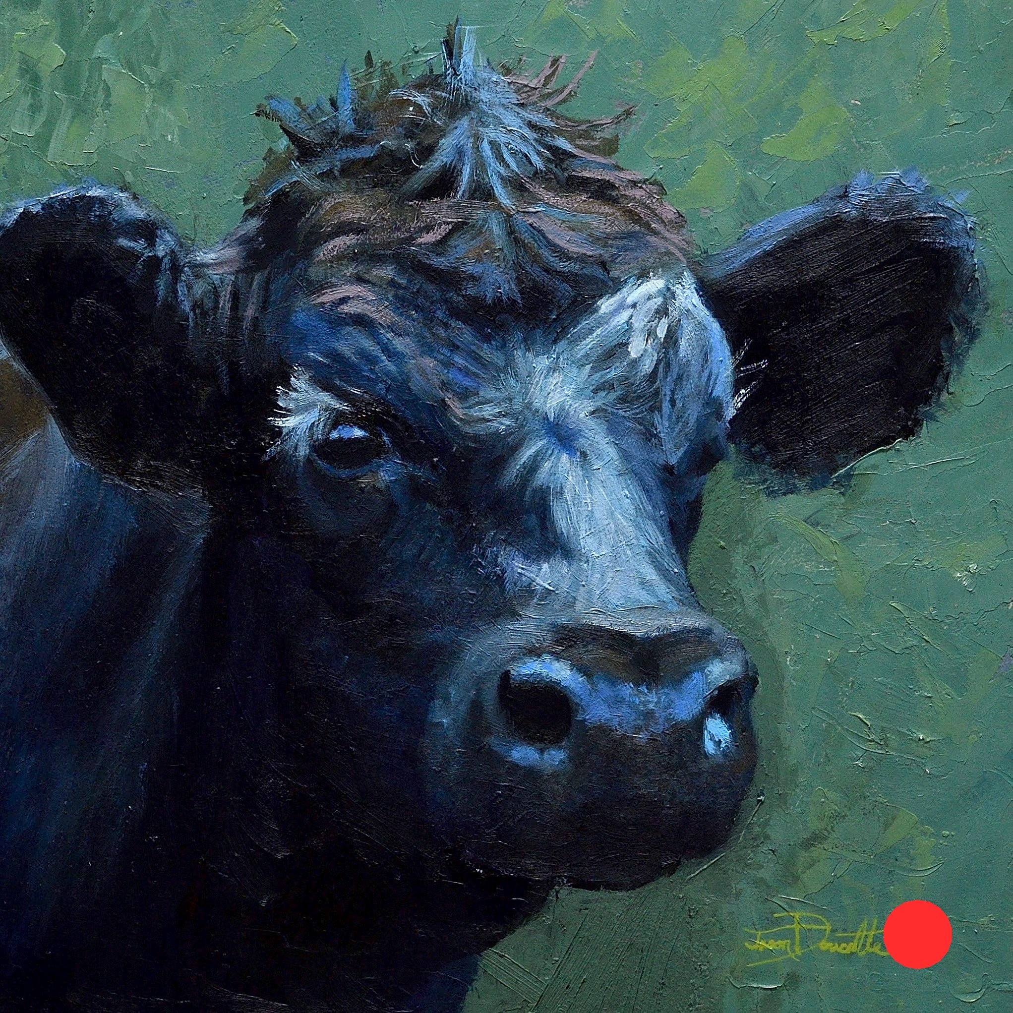Curious Moo
